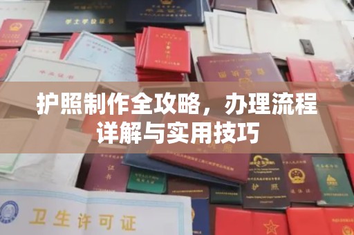 建阳护照制作全攻略，办理流程详解与实用技巧