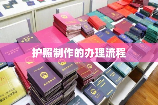 凤山护照制作的办理流程
